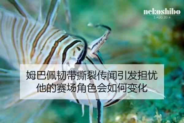 姆巴佩韧带撕裂传闻引发担忧 他的赛场角色会如何变化